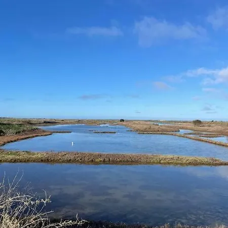 - Proche Plages/commerces Le Bois-Plage-en-Ré