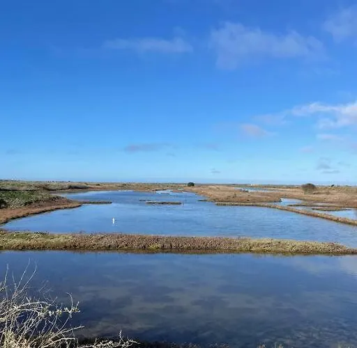 - Proche Plages/commerces Le Bois-Plage-en-Ré